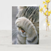 Grijze tabby poes wordt ouder humor kaart (Gele Bloem)