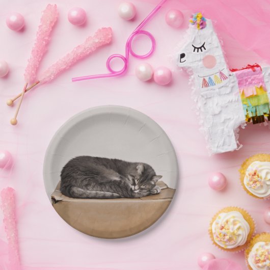 Grijze tablet druppelaar papieren bordje (Feest)