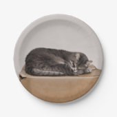 Grijze tablet druppelaar papieren bordje (Voorkant)