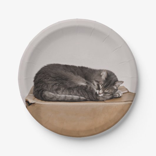 Grijze tablet druppelaar papieren bordje (Voorkant)