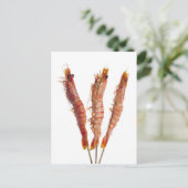 Grijze tijgergarnaal op een helling briefkaart (Staand voorkant)