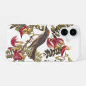 Grijze Tiran Audubon Vogel op Hummingbird Boom iPhone 16 Hoesje (Achterkant horizontaal)
