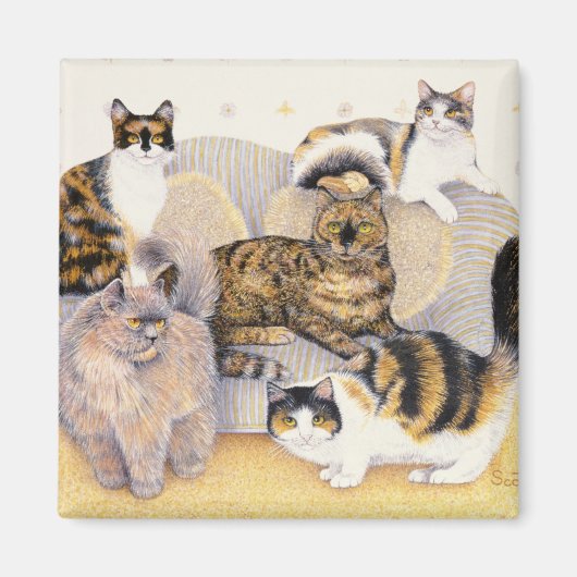 Grijze tortoiseshell magneet (Voorkant)