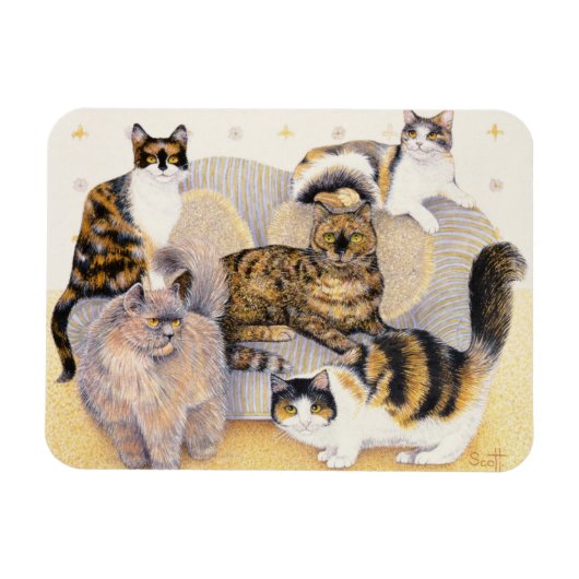 Grijze tortoiseshell magneet (Horizontaal)