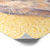 Grijze tortoiseshell poster (Hoek)