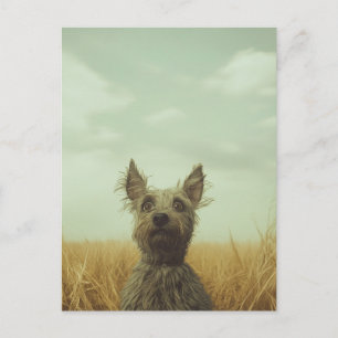 Grijze Toto in een tarweveld Briefkaart