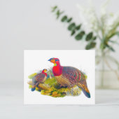 Grijze tragopan briefkaart (Staand voorkant)