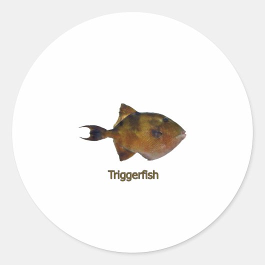 Grijze Triggerfish Logo Ronde Sticker (Voorkant)