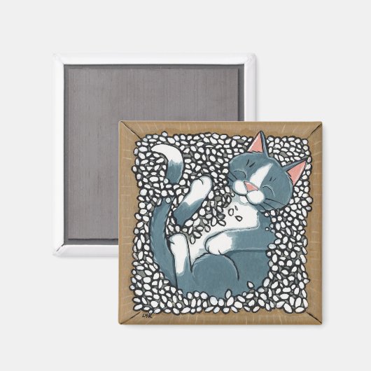 Grijze Tuxedo Kat Slapen in Doos van Verpakking Pe Magneet (Voorkant / Achterkant)