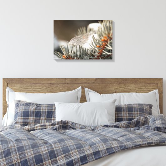 Grijze veer in besneeuwde groenblijvende tak canvas afdruk (Insitu (Slaapkamer))