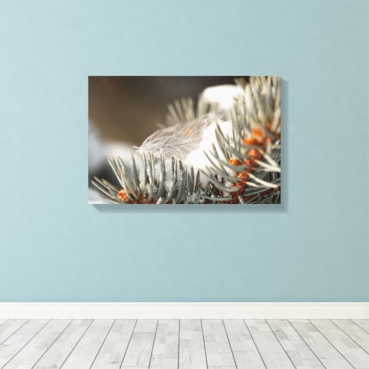 Grijze veer in besneeuwde groenblijvende tak canvas afdruk (Insitu (Houten vloer))