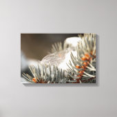 Grijze veer in besneeuwde groenblijvende tak canvas afdruk (Voorkant)