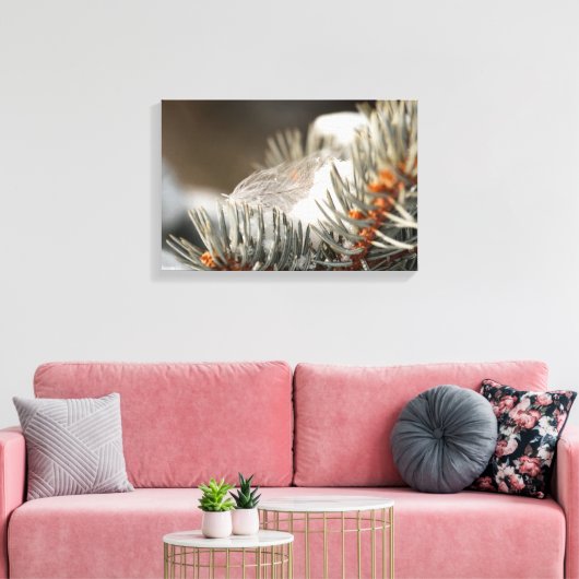 Grijze veer in besneeuwde groenblijvende tak canvas afdruk (Insitu (Woonkamer))