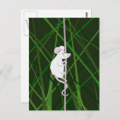 Grijze veldmuis in het hoge gras briefkaart (Voorkant / Achterkant)