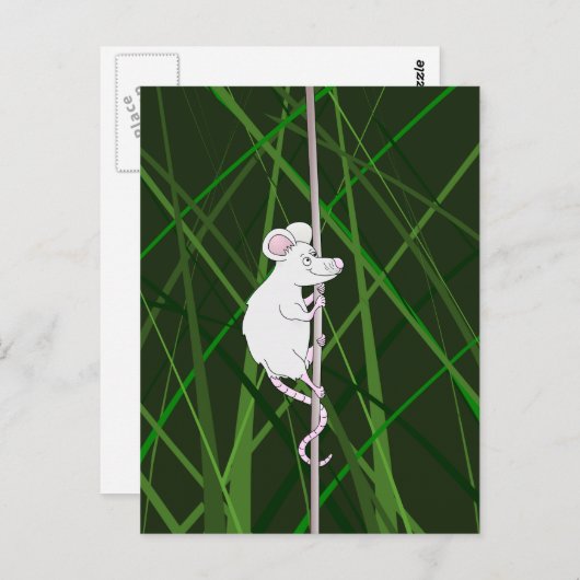 Grijze veldmuis in het hoge gras briefkaart (Voorkant / Achterkant)