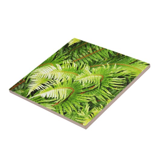 Grijze visbladeren tegeltje (Zijkant)