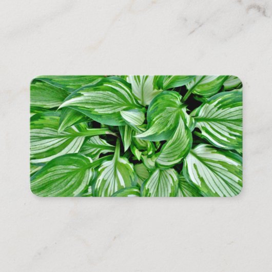 Grijze Visitekaartjes (Voorkant)