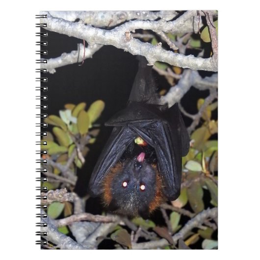 Grijze vliegende vos notitieboek (Voorkant)