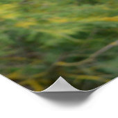 Grijze vogel tijdens de vlucht poster (Hoek)