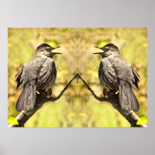 Grijze vogels zingen hun zong Poster (Voorkant)