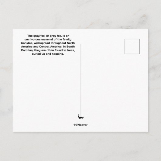 Grijze vos Briefkaart (Achterkant)