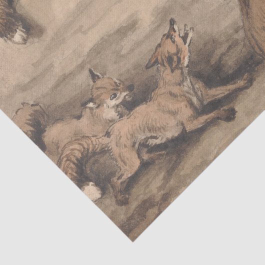 Grijze vos (Canis virginianus) Tissuepapier (Detail)