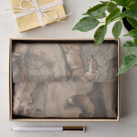 Grijze vos (Canis virginianus) Tissuepapier (Geschenk)