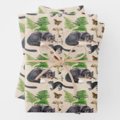 Grijze vos en eekhoorn op tan-afstotingstape inpakpapier vel (In situ)