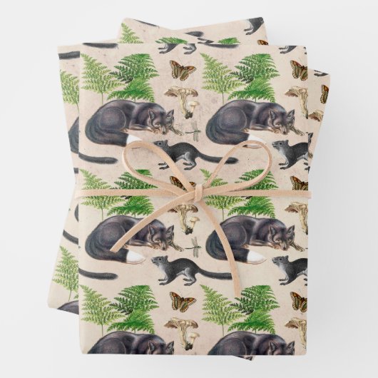 Grijze vos en eekhoorn op tan-afstotingstape inpakpapier vel (In situ)