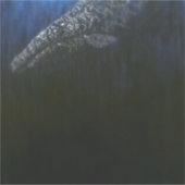 Grijze wal #1 sticker (Voorkant)