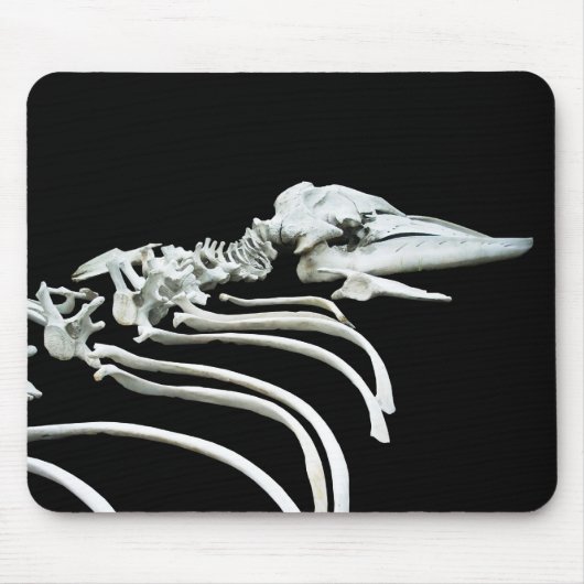 Grijze walvis Fossil Muismat (Voorkant)