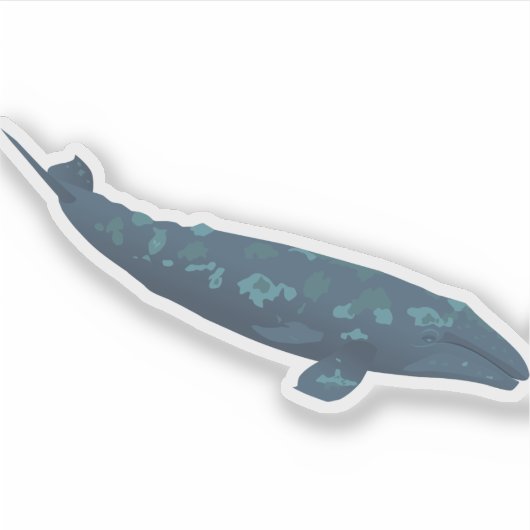 Grijze walvis sticker (Voorkant)