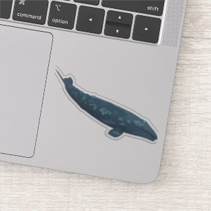 Grijze walvis sticker