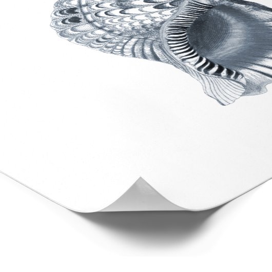 Grijze wandkunst Schrik kunstafdrukken #12 Kieuwde Poster (Hoek)