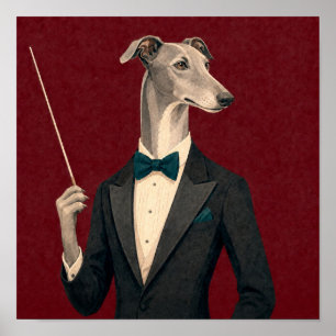 Grijze Windhond Dirigent in Smoking en B Poster