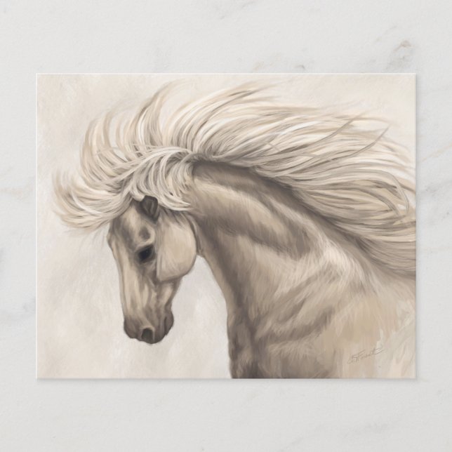 Grijze witte eierpaarden Wilde Mane (Voorkant)