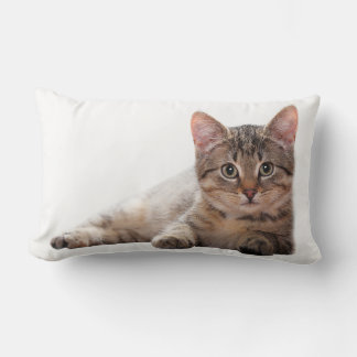 Grijze witte kat knuffel dier kussen