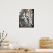 Grijze wolf achter de boom poster (Keuken)