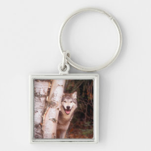 Grijze wolf achter een boom sleutelhanger