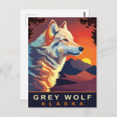 Grijze Wolf, Alaska, Zonsondergang op de bergen, R Briefkaart (Voorkant / Achterkant)