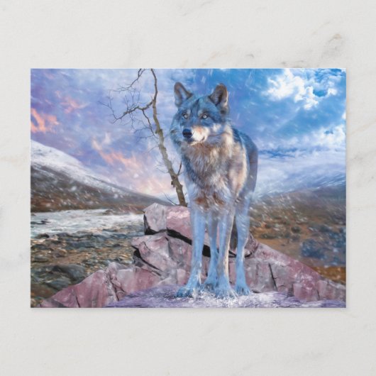 Grijze Wolf ANTWOORD OP DE VRAAG Briefkaart (Voorkant)