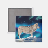 Grijze Wolf & Aurora Wildlife Collectie Magneet (Voorkant / Achterkant)
