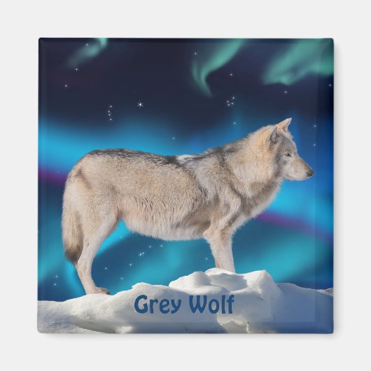 Grijze Wolf & Aurora Wildlife Collectie Magneet (Voorkant)