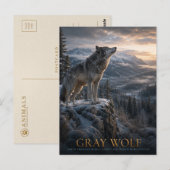Grijze Wolf Berg Wilderness DIEREN Briefkaart (Voorkant / Achterkant)