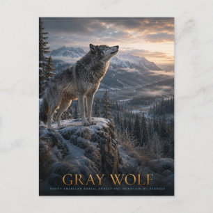 Grijze Wolf Berg Wilderness DIEREN Briefkaart