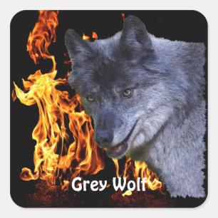 GRIJZE WOLF & BOSBRAND Wildlife Supporter Vierkante Sticker