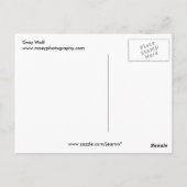 Grijze wolf briefkaart (Achterkant)