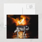 Grijze Wolf Briefkaarten (Voorkant / Achterkant)