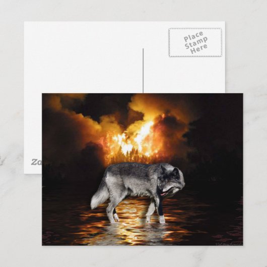 Grijze Wolf Briefkaarten (Voorkant / Achterkant)