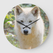 Grijze Wolf, Canadese dierenfotografie Grote Klok (Voorkant)